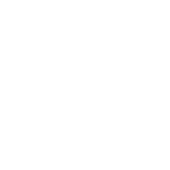 Google Gemini