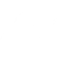 Tailwind CSS